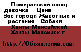 Померанский шпиц девочка  › Цена ­ 50 000 - Все города Животные и растения » Собаки   . Ханты-Мансийский,Ханты-Мансийск г.